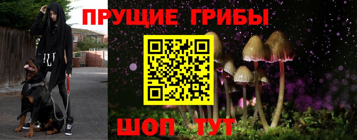 Псилоцибиновые грибы GOLDEN TEACHER Унеча