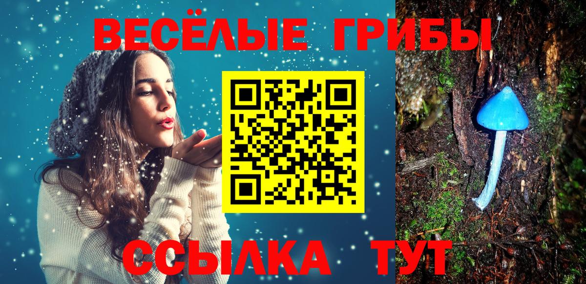 что такое наркотик  Галлюциногенные грибы мухоморы  Вход с VPN  Унеча 